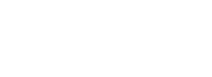 DFDL